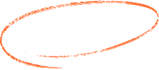Bed Bug control